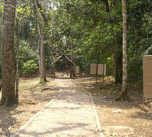 Der Weg zur Mayastadt