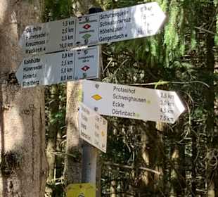 Wandern Winden im Elztal