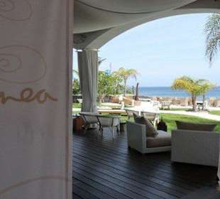 ¡Bienvenido! Welcome! Willkomen! Bienvenu! a MAREA