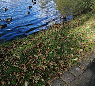 Stadtrundgang Wolkenstein