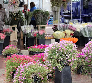 Eindrücke vom Wochenmarkt Nuoro