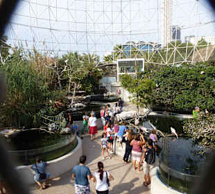 Große Vogel Voliere