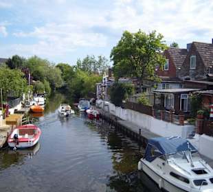 Ein Rundgang durch die "Rosenstadt" im Sommer 