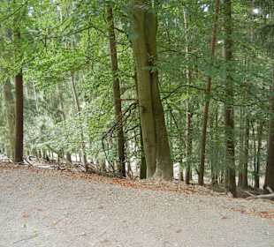 Aussicht Wildpark während der Fahrt