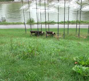 Gänslände Park Ulm