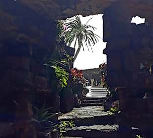 Jameos del Agua Cesar Manrique