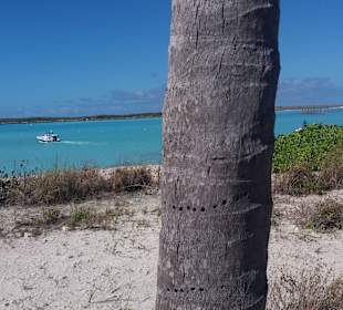 Castaway Cay