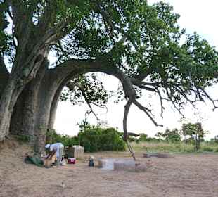 Laurence kocht unter einem Baobab