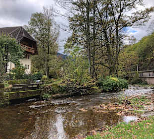 Wandern Bad Peterstal-Griesbach
