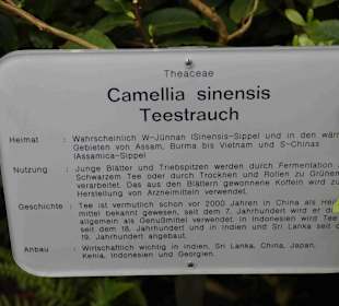 Anlage Planten un Blomen