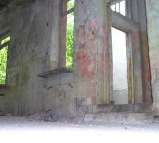 Zakład dla Nerwowo i Psychicznie Chorych Żydów Zofiówka