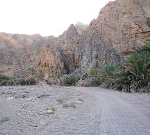 Quadtour durch Canyon