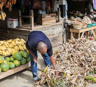 Stowe Town Markttreiben