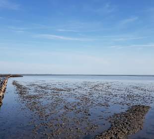 Wandern Emmelsbüll-Horsbüll