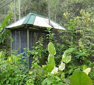 Poring Hot Springs - Schmetterlingsgarten