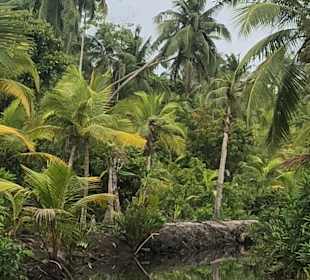 Ranga Tours