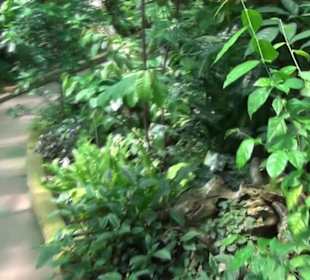 Afrikanische Landschaften