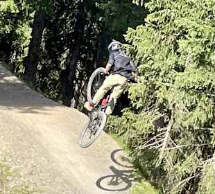 Bikepark Leogang