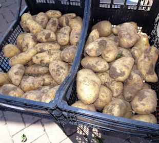 Rundgang über den Wochenmarkt Nuoro