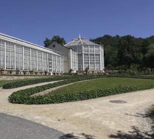 Palmenhaus