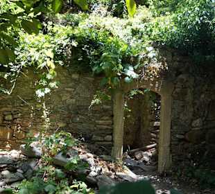 Zerfallene Hütte mitten im Wald