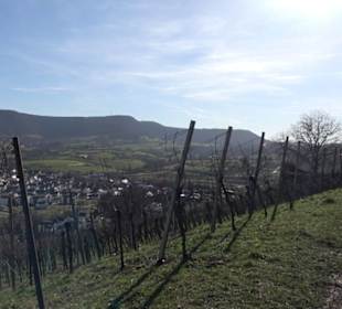 Wanderung Florianrunde