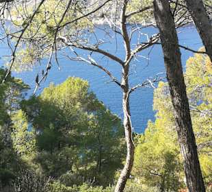 Wandern Camp de Mar