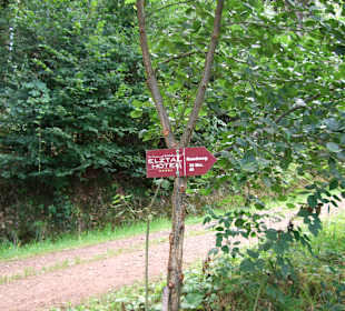 Wandern Winden im Elztal