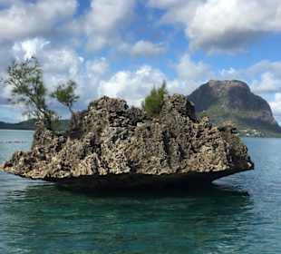 Ausflug mit dem Motorboot