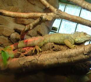 Freizeitpark