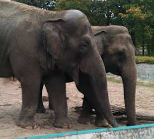 Zoo