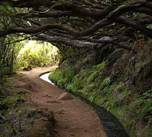 Naturpark Queimadas & Levada do Caldeirão Verde