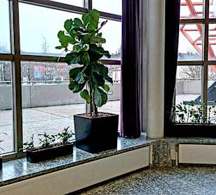 Städtischer Saalbau Witten