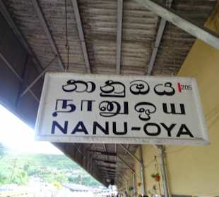 Hochland von Sri Lanka