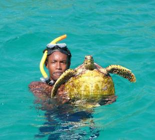 Ausflug Felicite Island