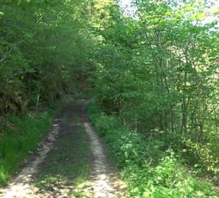 Premiumwanderweg Hochgehschätzt