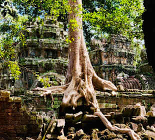 Angkor, Kambodscha