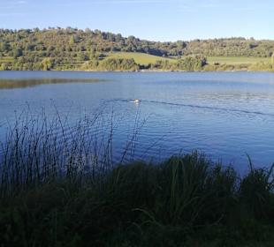 Schalkenmehrener Maar