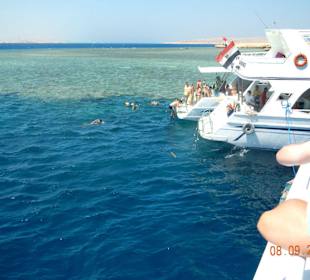 Am Riff zum schnorcheln