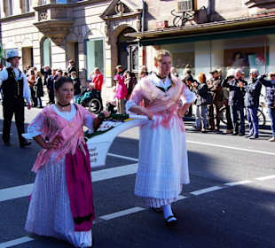 Landsmannschaft der Banater Schwaben