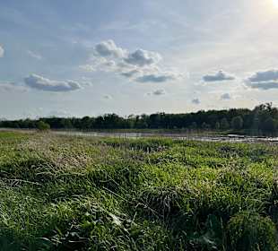 Wandern Lutherstadt Wittenberg