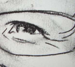 Werk des Karikaturisten am Sonntagsmarkt