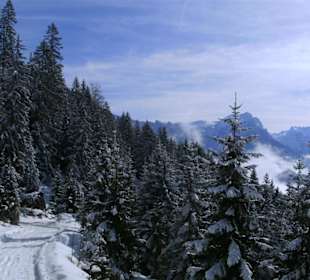 Winterwanderweg auf die Hochalm