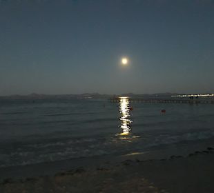 Strand Alcudia