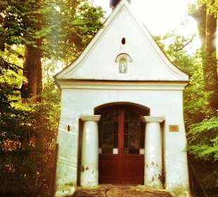 Skansen we wsi Granica w Kampinoskim Parku