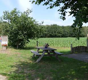 Pause mit Milchautomat