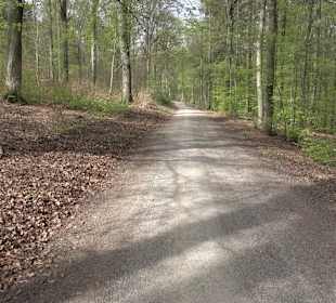 Walderlebnisweg Rottenburg