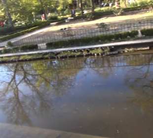 Real Jardín Botánico de Madrid