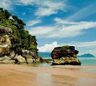 Beach im Bako National Park