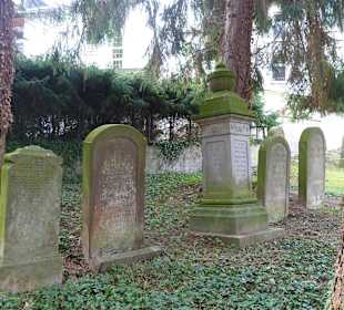 Ruhe zwischen Bäumen